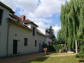 Apartment im Grünen mit Anbindung ans Zentrum